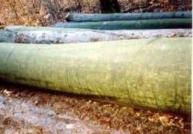 Buche gut Seite 72 50%.jpg (9764 Byte)