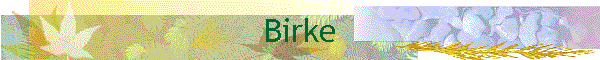 Birke