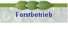Forstbetrieb