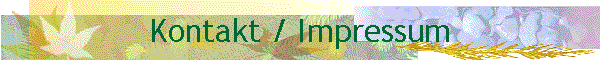Kontakt / Impressum