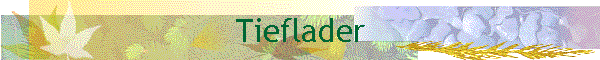 Tieflader