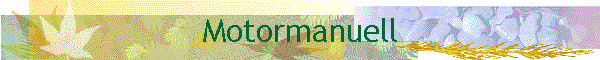 Motormanuell