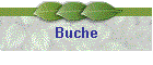 Buche
